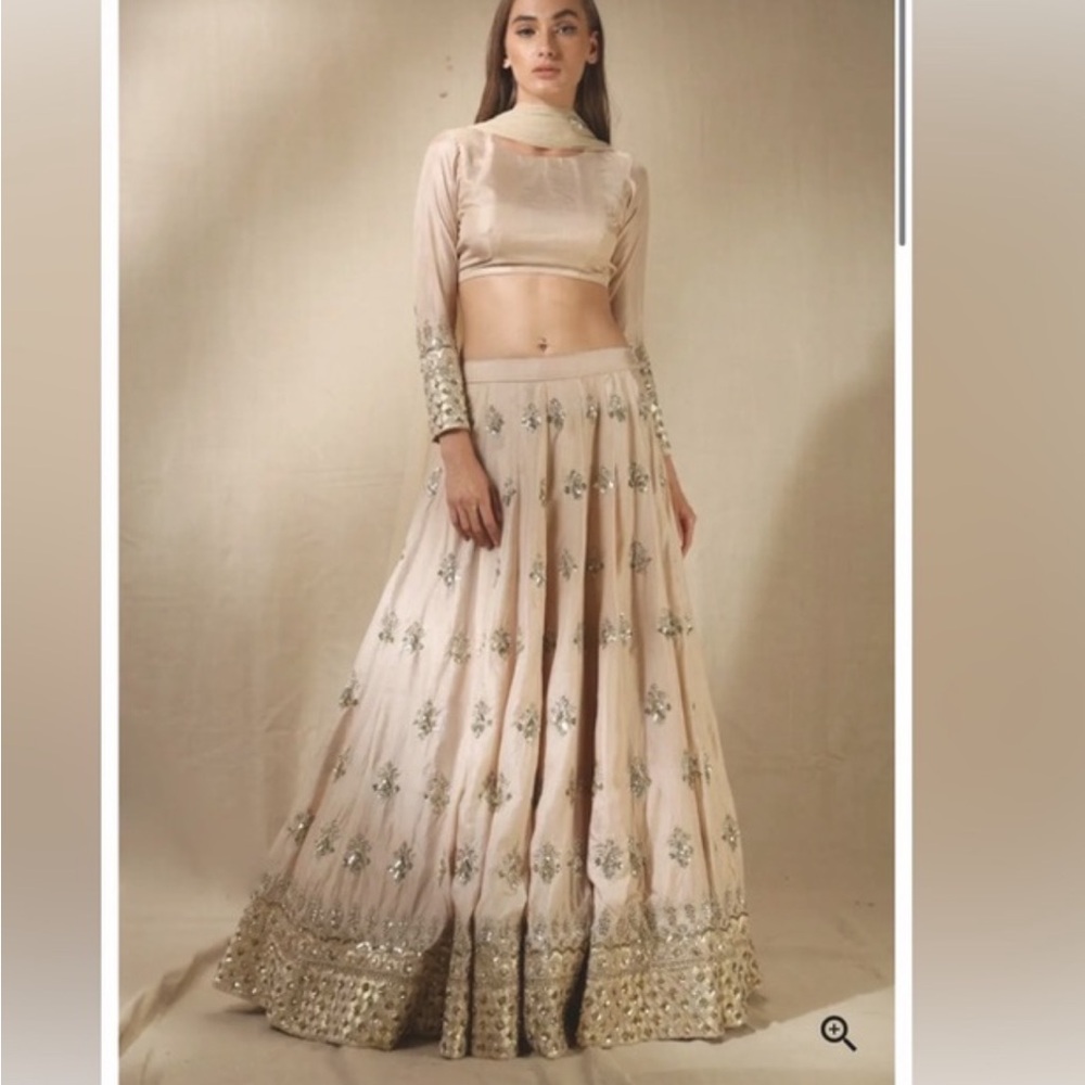 NWOT Ashta Narang Lehengha/Lengha